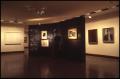 Primary view of Seventy-Five Years of Art in Dallas [Photograph DMA_0256-12]