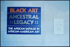 Black Art-Ancestral Legacy: The African Impulse in African-American Art [Photograph DMA_1435-54]