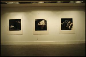 Primary view of object titled 'Concentrations II: Ann Lee Stautberg [Photograph DMA_0266-03]'.