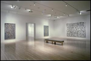 Brice Marden, Work of the 1990s: Paintings, Drawings, and Prints [Photograph DMA_1565-06]