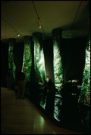 Dale Chihuly: Installations 1964-1994 [Photograph DMA_1502-84]