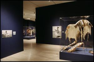 Art of the American Indian Frontier: The Chandler/Pohrt Collection [Photograph DMA_1491-08]