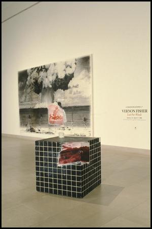 Concentrations 17: Vernon Fisher, Lost for Words [Photograph DMA_1328-13]