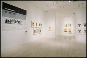 Jasper Johns: Process and Printmaking [Photograph DMA_1550-01]