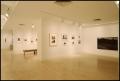 Primary view of Re/View: Photographs from the Collection of the Dallas Museum of Art [Photograph DMA_1535-11]