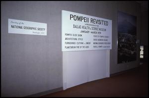 Pompeii A.D. 79 [Photograph DMA_1288-082]