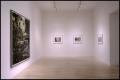 Primary view of Thomas Struth [Photograph DMA_1629-03]