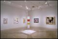 Primary view of Mondrian: The Transatlantic Paintings; Dallas Collects; Color in Space; America Responds [Photograph DMA_1615-15]