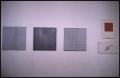 Primary view of Bridget Riley: Works 1959-1978 [Photograph DMA_1287-09]