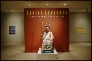 Africa Explores: 20th Century African Art [Photograph DMA_1468-02]