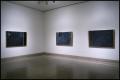Thumbnail image of item number 1 in: 'Jasper Johns: New Paintings and Works on Paper [Photograph DMA_1586-05]'.