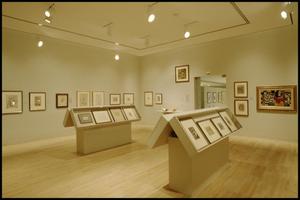 Primary view of object titled 'Cubism & La Section d'Or: Works on Paper 1907-1922 [Photograph DMA_1462-01]'.