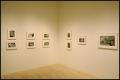 Primary view of Like a One-Eyed Cat: Photographs by Lee Friedlander, 1956-1987 [Photograph DMA_1433-17]