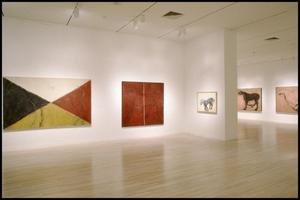 Primary view of object titled 'Susan Rothenberg: Paintings and Drawings [Photograph DMA_1496-08]'.