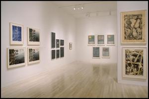 Jasper Johns: Process and Printmaking [Photograph DMA_1550-06]