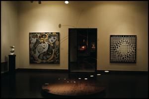 Dallas Museum of Fine Arts Installation: Contemporary Art [Photograph DMA_90001-54]