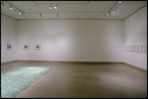 Primary view of object titled 'Felix Gonzalez-Torres / Joseph Bueys [Photograph DMA_1605-08]'.