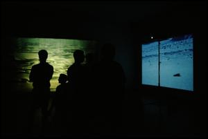 Primary view of object titled 'Concentrations 33: Doug Aitken, Diamond Sea [Photograph DMA_1350-45]'.