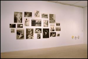 Primary view of object titled 'Photography in Contemporary German Art: 1960 to the Present [Photograph DMA_1473-13]'.