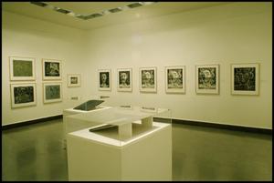 Primary view of object titled 'Picasso the Printmaker: Graphics from the Marina Picasso Collection [Photograph DMA_0275-05]'.