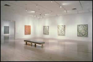 Brice Marden, Work of the 1990s: Paintings, Drawings, and Prints [Photograph DMA_1565-09]