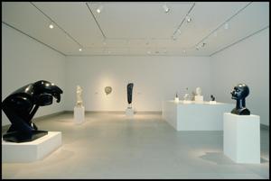 A Century of Modern Sculpture: The Patsy and Raymond Nasher Collection [Photograph DMA_1400-12]