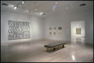Primary view of object titled 'Brice Marden, Work of the 1990s: Paintings, Drawings, and Prints [Photograph DMA_1565-05]'.