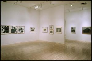 Primary view of object titled 'Gerhard Richter in Dallas Collections [Photograph DMA_1583-09]'.