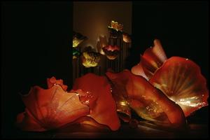 Dale Chihuly: Installations 1964-1994 [Photograph DMA_1502-34]