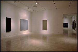 Dallas Museum of Art Installation: Contemporary Art [Photograph DMA_90015-088]