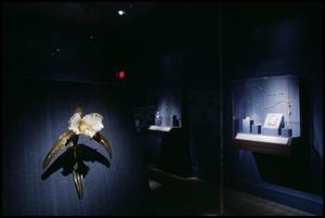 The Jewels of Lalique [Photograph DMA_1560-09]