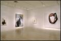 Primary view of Susan Rothenberg: Paintings and Drawings [Photograph DMA_1496-16]