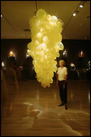 Dale Chihuly: Installations 1964-1994 [Photograph DMA_1502-82]