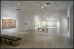 Brice Marden, Work of the 1990s: Paintings, Drawings, and Prints [Photograph DMA_1565-14]