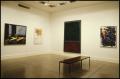 Primary view of Impressionism and the Modern Vision [Photograph DMA_1308-11]