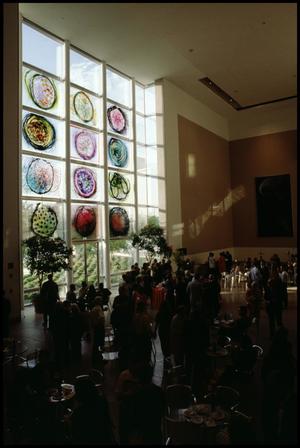 Dale Chihuly: Installations 1964-1994 [Photograph DMA_1502-91]