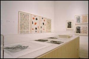 Jasper Johns: Process and Printmaking [Photograph DMA_1550-08]