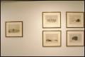 The Age of Exploration: Selections from the Johnson & Gibbs Collection [Photograph DMA_1819a-09]