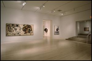 Dallas Museum of Art Installation: Contemporary Art [Photograph DMA_90015-100]