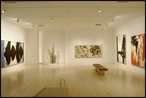 Dallas Museum of Art Installation: Museum of Contemporary Art, 1993 [Photograph DMA_90005-09]