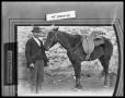 Photograph: Man With Horse