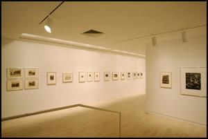 Re/View: Photographs from the Collection of the Dallas Museum of Art [Photograph DMA_1535-05]