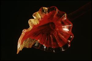 Dale Chihuly: Installations 1964-1994 [Photograph DMA_1502-32]