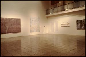 Dallas Museum of Fine Arts Installation: Contemporary Art [Photograph DMA_90001-60]