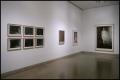 Primary view of Gerhard Richter in Dallas Collections [Photograph DMA_1583-28]