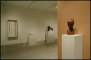 Black Art-Ancestral Legacy: The African Impulse in African-American Art [Photograph DMA_1435-04]