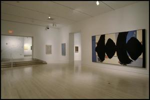 Dallas Museum of Art Installation: Contemporary Art [Photograph DMA_90015-095]