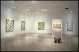 Primary view of object titled 'Brice Marden, Work of the 1990s: Paintings, Drawings, and Prints [Photograph DMA_1565-07]'.