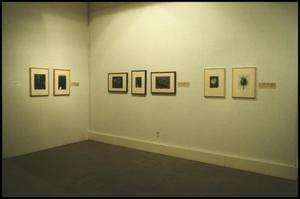Counterparts: Form and Emotion in Photographs [Photograph DMA_1313-11]