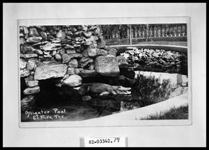 Primary view of object titled 'Alligator Pool #2'.